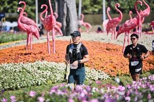 BIB: 
                            <button type="button" onclick="openModal(27793049)" class="btn btn-primary btn-sm float-right btn-popup" data-toggle="modal" data-target=".modal-high-quality">
                        <i class="fas fa-shopping-cart"></i> Add to Cart
                    </button>
                                            <button type="button" onclick="isThisMe(27793049, true)" class="btn btn-success btn-sm float-right btn-popup btn-isme hidden" data-toggle="tooltip" data-placement="bottom" title="นี่คือรูปของคุณใช่ไหม คลิกที่นี่เพื่อเอาเข้าอัลบั้ม">
                        <i class="fas fa-plus"></i> Add to album
                    </button>
                    <button type="button" onclick="isThisMe(27793049, false)" class="btn btn-warning btn-sm float-right btn-popup btn-isnotme hidden">
                        <i class="fas fa-ban"></i> Remove from album
                    </button>